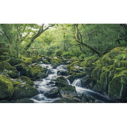 Sanders & Sanders fotobehang landschap groen - 400 x 250 cm - 612520