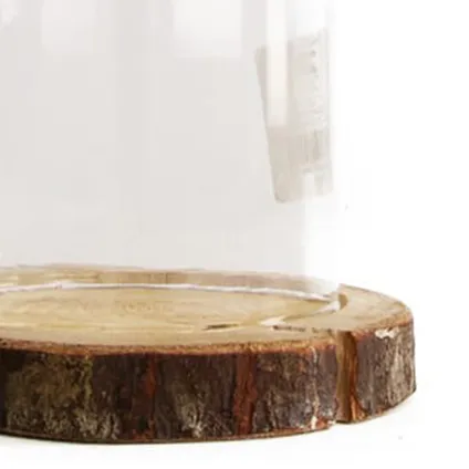 Dijk Natural Collections stolp - glas - houten plateau - D13 x H17,5 cm 2