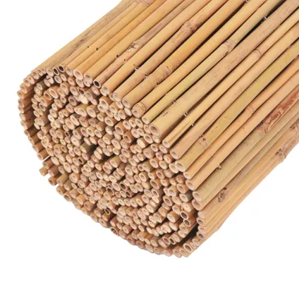 vidaXL - Bamboe - Scherm 500x50 cm bamboe - TLS142682 6