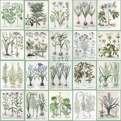 ESTAhome XXL behang bladzijden botanisch bloemen en planten boek groen - 50 x 900 cm 6