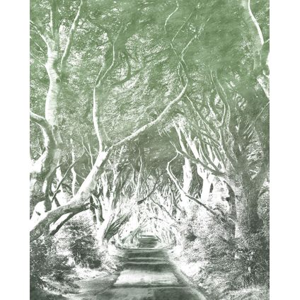 Sanders & Sanders papier peint panoramique forêt vert - 200 x 250 cm - 611922