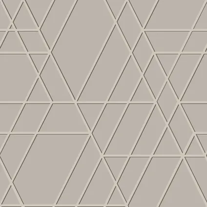 ESTAhome behangpapier grafisch 3D motief taupe - 50 x 900 cm - 139600 9