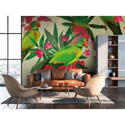 One Wall one Role papier peint panoramique oiseaux vert, rose, rouge et orange - 371 x 280 cm