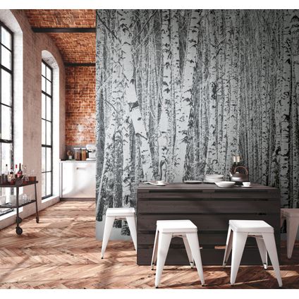 One Wall one Role papier peint panoramique paysage boisé noir, blanc et gris - 371 x 280 cm