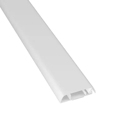 Goulotte autoadhésive plate D-Line 1D6015W blanc 60x15mm 1m 2