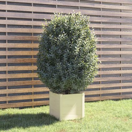 vidaXL - Hout - Plantenbak 40x40x40 cm massief grenenhout wit - TLS810536