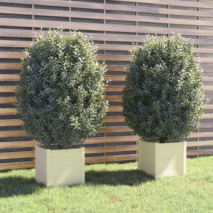 vidaXL - Hout - Plantenbakken 2 st 40x40x40 cm massief grenenhout wit - TLS810537