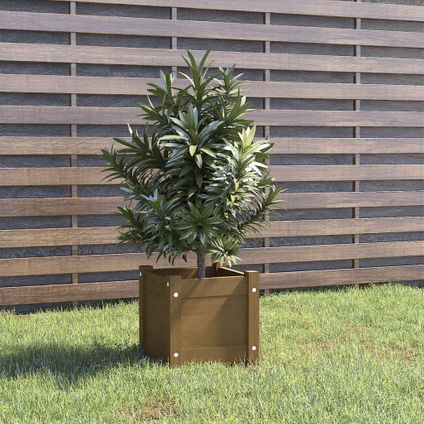 vidaXL - Hout - Plantenbak 31x31x31 cm massief grenenhout honingbruin - TLS810528