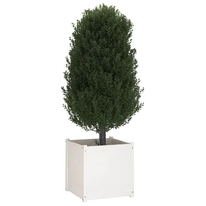 vidaXL - Hout - Plantenbakken 2 st 60x60x60 cm massief grenenhout wit - TLS810561 8