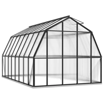 The Living Store - Aluminium - Serre avec cadre de base anthracite 12,63 m² - TLS309802 4