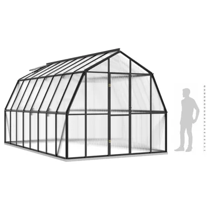 The Living Store - Aluminium - Serre avec cadre de base anthracite 12,63 m² - TLS309802 6