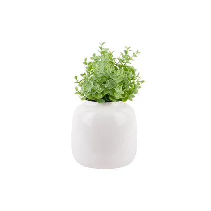 Present Time - Vase Ivy Moyen - Blanc 2