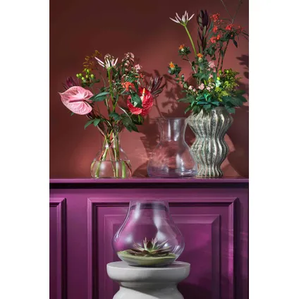 Vase Mica Decorations Bellagio - 30x30x26 cm - Transparent 3