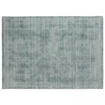 Oviala Loop Rechthoekig bedrukt lichtblauw gemêleerd chenille tapijt 120 x 170 cm