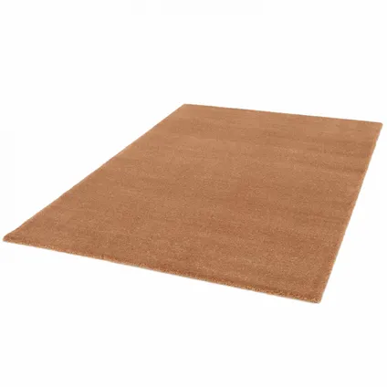 Oviala Rechthoekig polypropyleen tapijt, bruin kortpolig, 160 x 230 cm 4