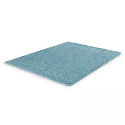 Oviala Rechthoekig tapijt van polypropyleen 160x230 cm blauw 3