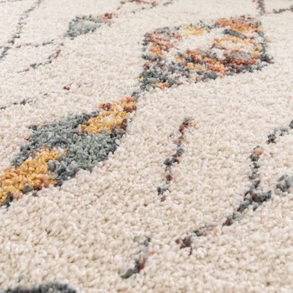 Oviala Calista Rechthoekig tapijt van polypropyleen met etnisch patroon, 120 x 170 cm 4