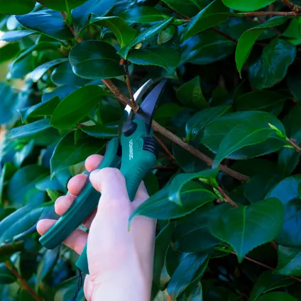 VONROC snoeischaar met papegaaienbek – antikleefcoating - voor bloemen en jonge scheuten tot Ø15mm 5