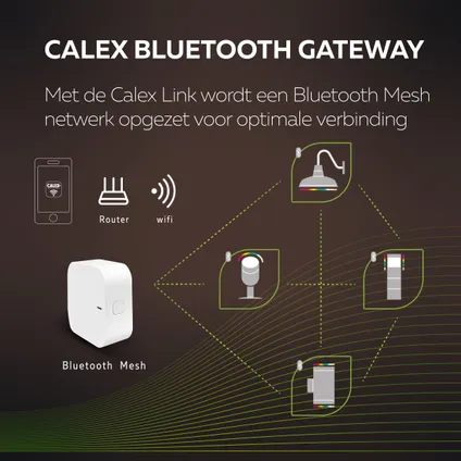 Calex Bande LED Intelligente 5 mètres - Éclairage de Jardin RGB et Blanc Chaud 6