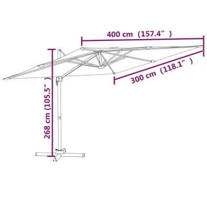 The Living Store - - Parasol déporté avec mât en aluminium Noir 400x300 cm - TLS319920 10