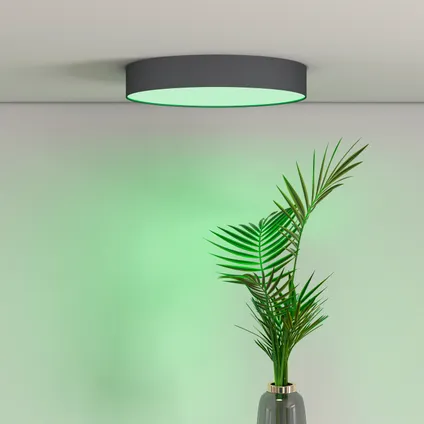 Calex Slimme Plafondlamp - Plafonnière 30cm - RGB en Warm Wit - Zwart 3