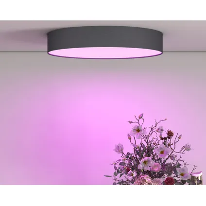 Calex Slimme Plafondlamp - Plafonnière 30cm - RGB en Warm Wit - Zwart 4