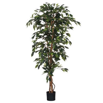 Plante artificielle Mica Decorations Ficus - 100x100x180 cm - Vert