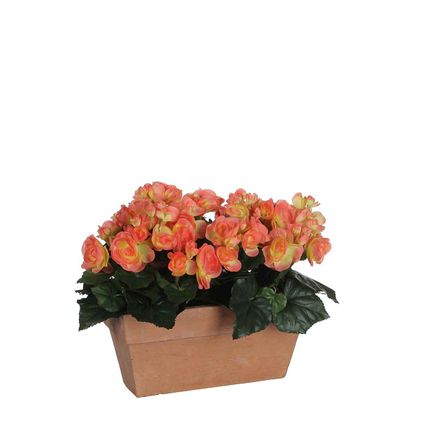 Fleur artificielle Mica Decorations Begonia - 29x13x25 cm - Terre cuite
