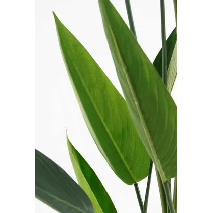 Mica Decorations Kunstboom Heliconia - 90x90x150 cm - Polyester - Groen 3