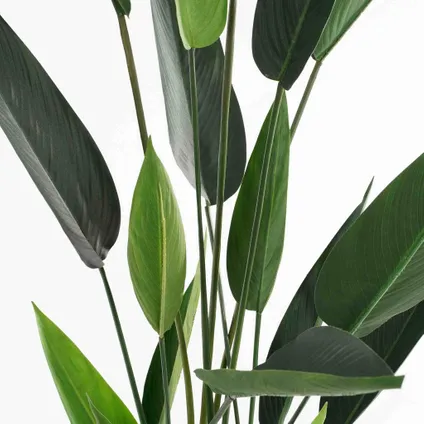 Mica Decorations Kunstboom Heliconia - 90x90x150 cm - Polyester - Groen 4