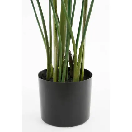 Plante artificielle Mica Decorations Heliconia - 90x90x150 cm - Vert 5