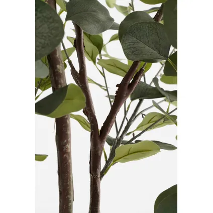 Mica Decorations Kunstboom Eucalyptus - 80x80x180 cm - Polyester - Groen 3
