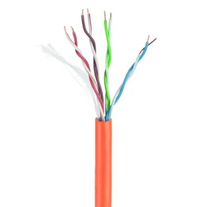 CableXpert - Câble LAN UTP Cat5E (CCA) rigide, 305 m - Rouge 2