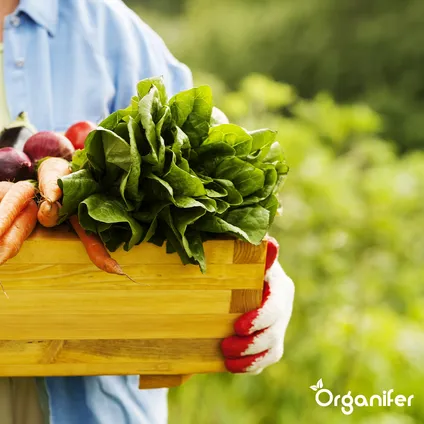 Organifer - Vegan Plantaardige Meststof (20 kg – voor 200 m2) 4