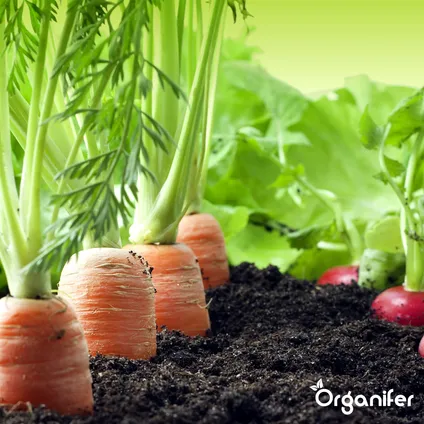 Organifer - Vegan Plantaardige Meststof (20 kg – voor 200 m2) 10