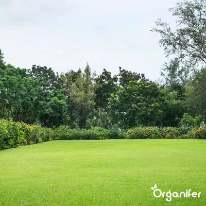 Organifer - Engrais Végétalien Végétal (5 kg - pour 50 m2) 8