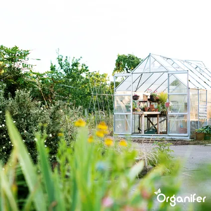 Organifer - Engrais Végétalien Végétal (20x = 400 kg - pour 4.000 m2) 2