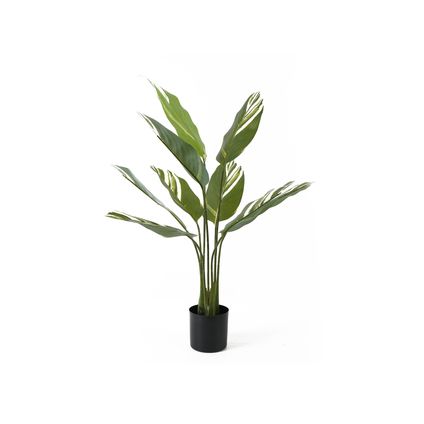Present Time - Kunstplant Calathea - Groen
