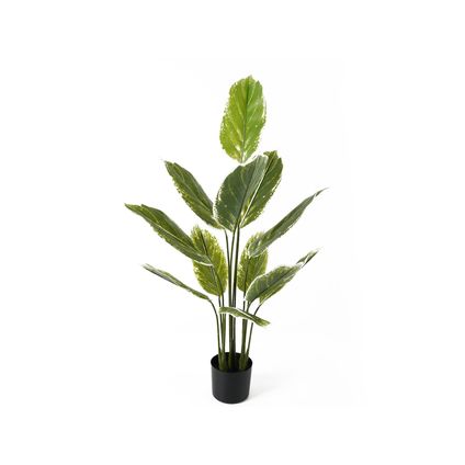 Present Time - Kunstplant Calathea Large - Groen