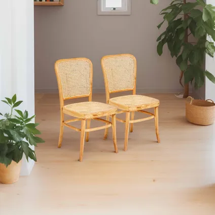 Oviala Set van 2 stoelen van natuurlijk rotan en massief teakhout 2