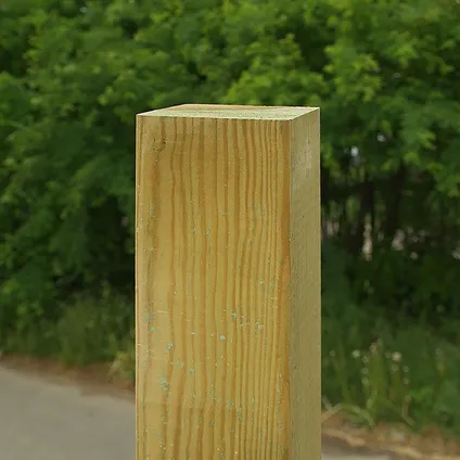 Intergard - Houten palen tuinpalen grenen 7x7x270cm 2