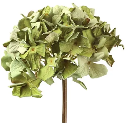 Kunstplant Hydrangea Groen 60 cm - Decoratieve tak 2