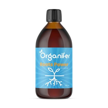 Organifer - Stimulateur de Racines - Roots Power Concentré - 250 ml