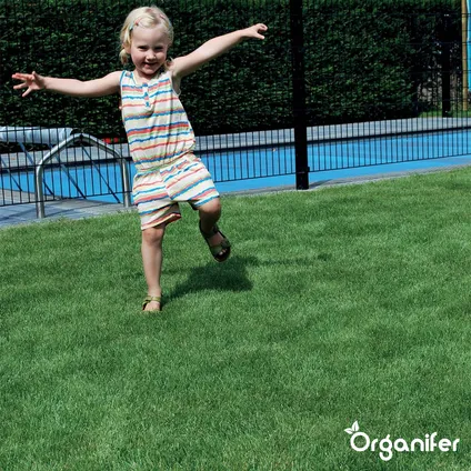 Organifer - Siergazon Graszaad – Elegant (5 kg voor 250 m2) 7