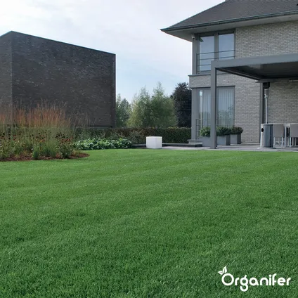 Organifer - Siergazon Graszaad – Elegant (5 kg voor 250 m2) 9