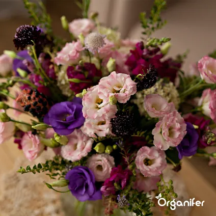 Organifer - Kit de Semences de Fleurs Coupées - 20 Variétés 3