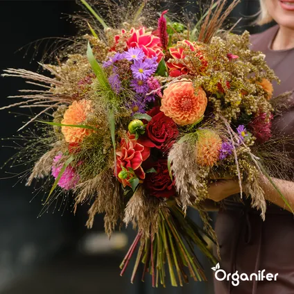 Organifer - Kit de Semences de Fleurs Coupées - 20 Variétés 4