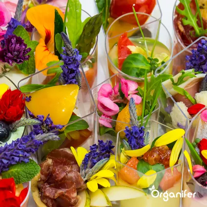 Organifer - Kit de Semences de Fleurs Comestibles - 11 Variétés 6