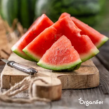Organifer - Fruit Zaden Pakket - 13 Soorten 2