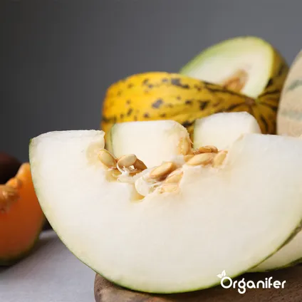 Organifer - Fruit Zaden Pakket - 13 Soorten 5